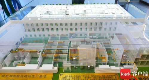 美安科技新城 打造創新藥企新高地，引領珍稀中藥材替代與軟件科技融合發展