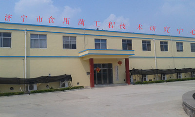 軟件科技領(lǐng)域內(nèi)的技術(shù)開發(fā) 創(chuàng)新驅(qū)動，賦能未來