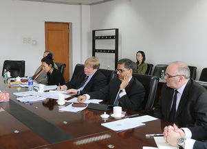 深化國(guó)際合作，共推政府財(cái)務(wù)報(bào)告改革——?jiǎng)⒗?huì)見(jiàn)國(guó)際貨幣基金組織政府綜合財(cái)務(wù)報(bào)告咨詢團(tuán)側(cè)記